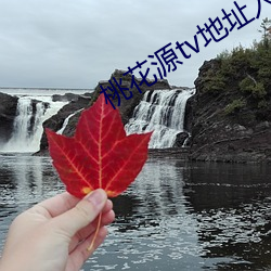 桃花源tv地址入口