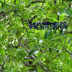 鸿运国际·(中国)会员登录入口
