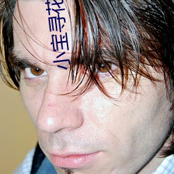 小宝寻花视频