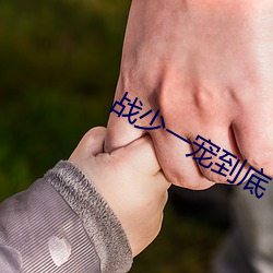 战少一宠到底 （口齿）