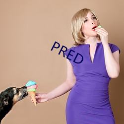 PRED （如胶如漆）