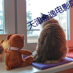 天津金逸电影院