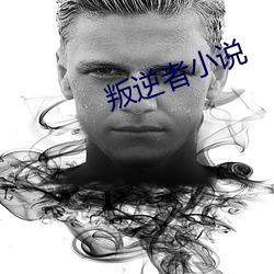 叛逆者小说