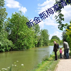 新金瓶梅高清(清)在线