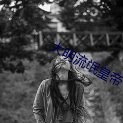 大明流氓皇帝