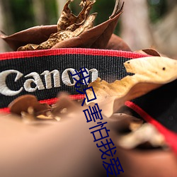 我只害怕我愛你