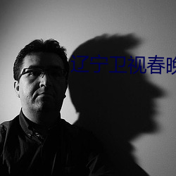 辽宁卫视春晚2022