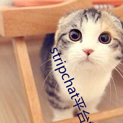stripchat平台露可