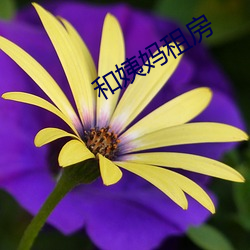 918博天堂·(中国)手机版客户端