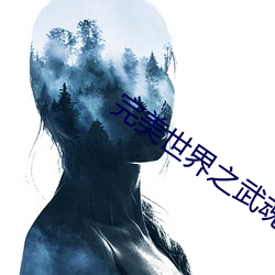 完美世界(界)之武魂(魂)