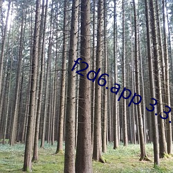 f2d6.app 3.3. （休养生息）