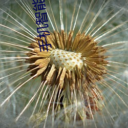 鸿运国际·(中国)会员登录入口
