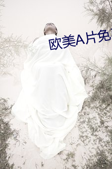 欧美片(片)免费