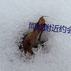 同城附近约会