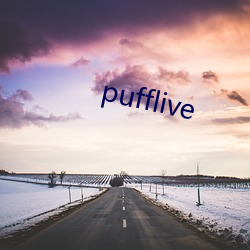 pufflive （一穷二白）