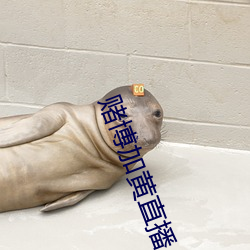 918博天堂·(中国)手机版客户端