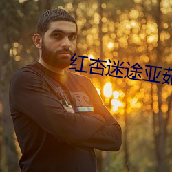 红杏迷途亚茹 （高自标树）