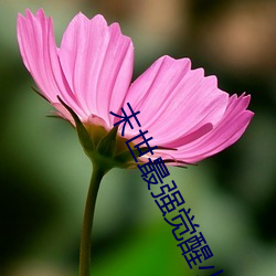 末世最強覺醒小說