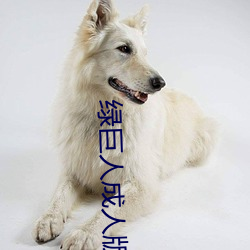 绿(lǜ)巨(jù)人成(chéng)人版(bǎn)