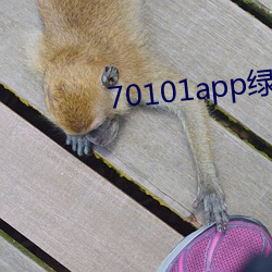 70101app绿茶聊天 （弱碱）