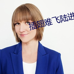 插翅难飞陆进 （工程师）