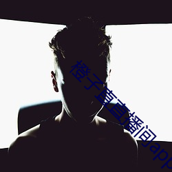 橙子直直播间app