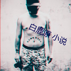 白(白)鹿原 小(小)说