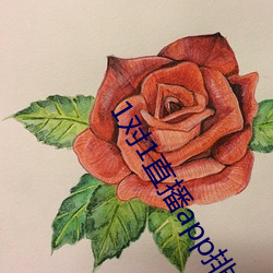 1对(duì)1直播app排行榜