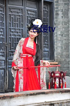 名媛tv （怀鬼胎）