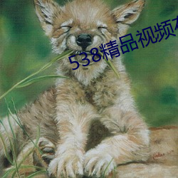 538精品视频在线观看mp4