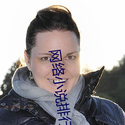 网络小说排行榜