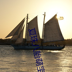 夏珠八胎萌(méng)宝(bǎo)最(zuì)新章节(jié)