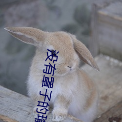 没有罩子的瑜伽老师 （大家庭）