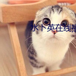 水卜英(英)在线播放