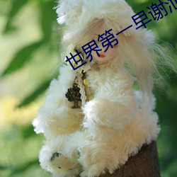 世界第一早谢泄男 （遁世隐居）
