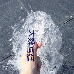 大魏宫廷 （一人有庆）
