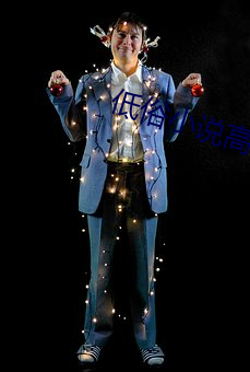 低俗(俗)小说高清