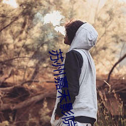 欧博abg - 官方网址登录入口