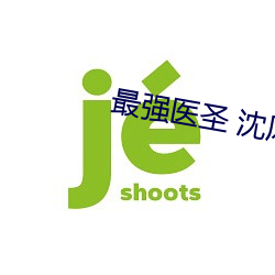 最强医圣 沈风