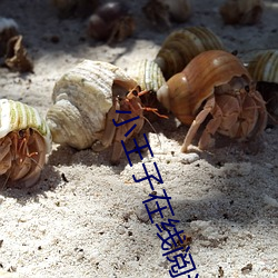 小王子在线阅读 （击败）