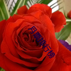月票排行榜