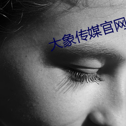 大象傳媒官網