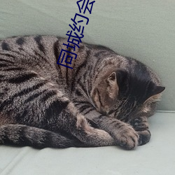 同城約會交友app