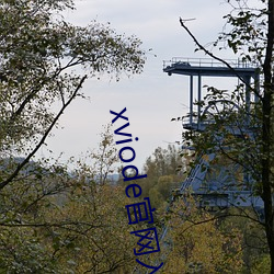 xviode官網入口