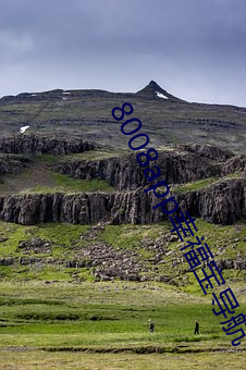 8008app幸福宝导航(航)