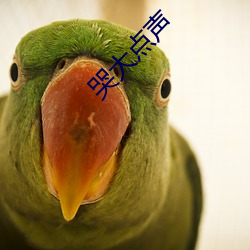 哭(哭)大点声(聲)