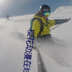 樱花动漫在线 名物）