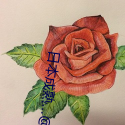 日本成熟(熟)…@视(視)频(頻)