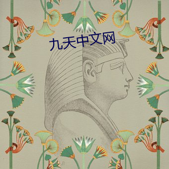 九(jiǔ)天中文网