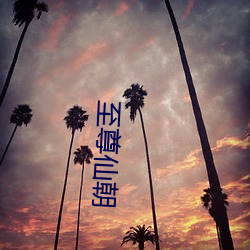 至尊仙朝